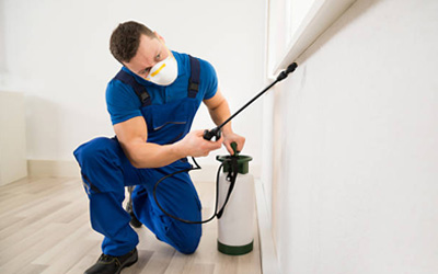 8 Useful Tips to Prevent Rodents from Invading Your Home